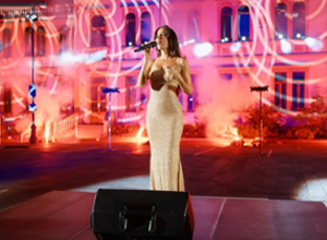 Ejemplo de articulo video