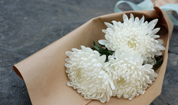 Información para Productos de Clientes Fallecidos